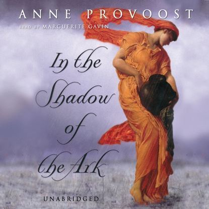 Anne Provoost — In the Shadow of the Ark