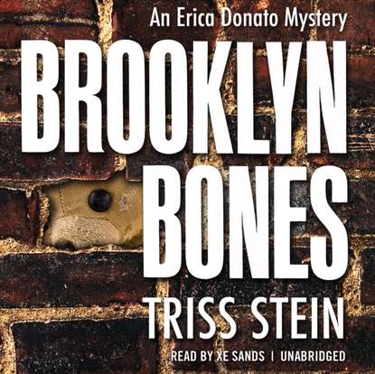 Triss Stein — Brooklyn Bones