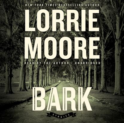 

Bark