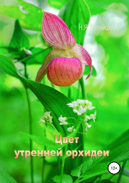 

Цвет утренней орхидеи