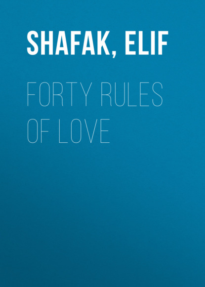 Элиф Шафак - Forty Rules of Love
