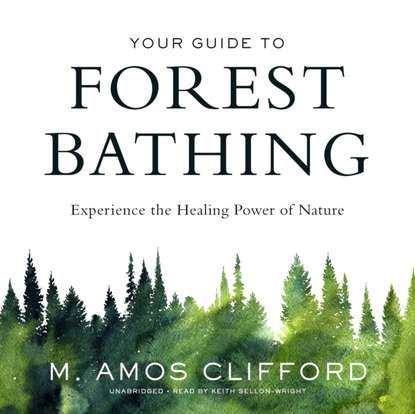 M. Amos Clifford - Your Guide to Forest Bathing