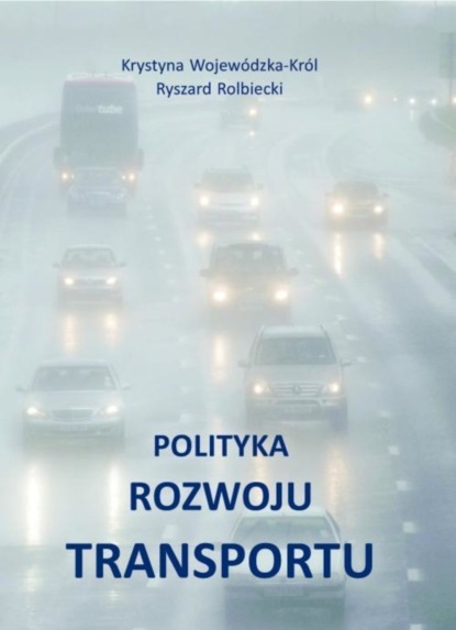 Krystyna Wojewódzka-Król - Polityka rozwoju transportu