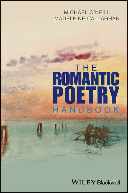 The Romantic Poetry Handbook - Michael  O'Neill