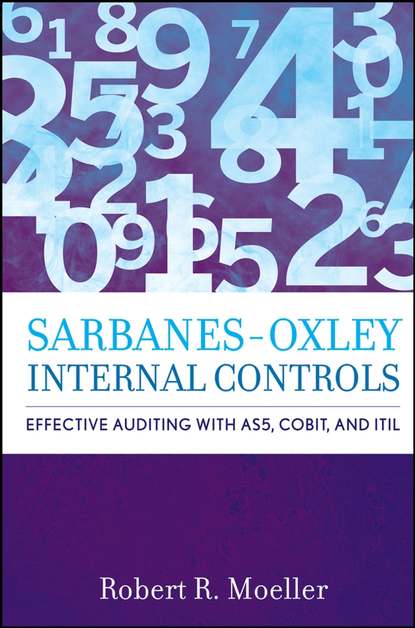 Группа авторов - Sarbanes-Oxley Internal Controls