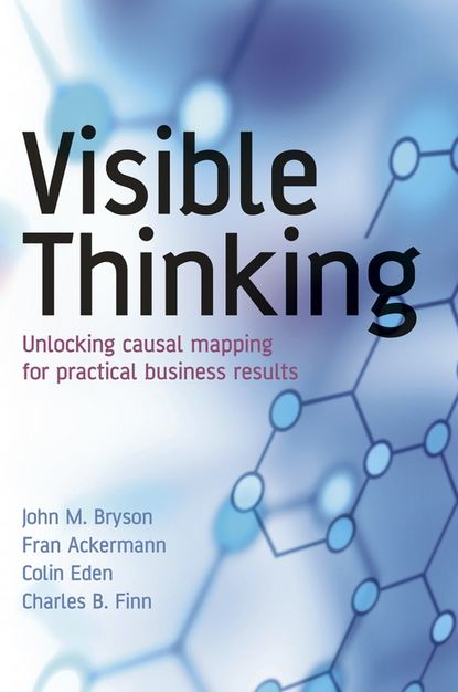 Fran  Ackermann - Visible Thinking