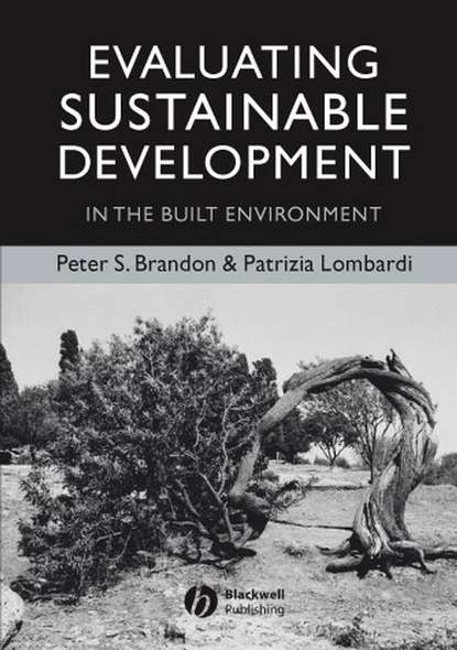 Patrizia  Lombardi - Evaluating Sustainable Development