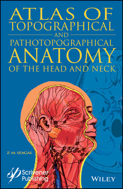Atlas of Topographical and Pathotopographical Anatomy of the Head and Neck - Группа авторов