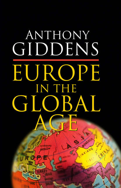 Europe in the Global Age - Группа авторов