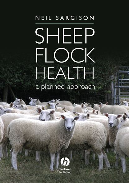 Группа авторов - Sheep Flock Health