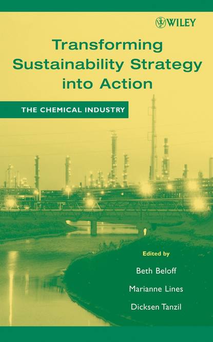 Transforming Sustainability Strategy into Action (Beth  Beloff). 