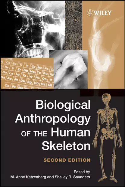 Обложка книги Biological Anthropology of the Human Skeleton, M. Katzenberg Anne