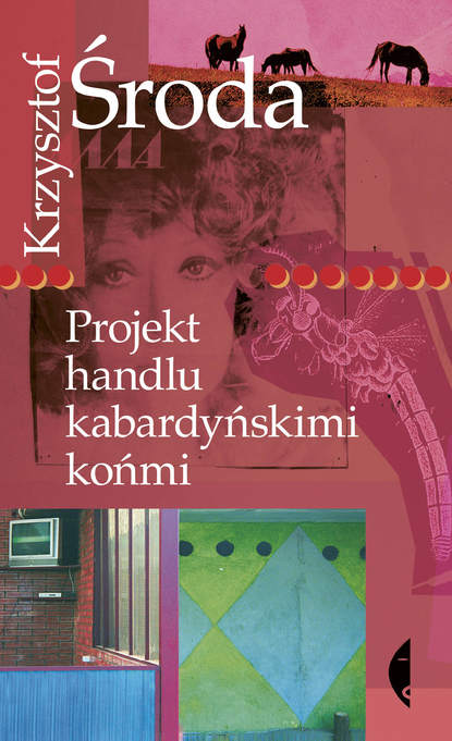 

Projekt handlu kabardyńskimi końmi