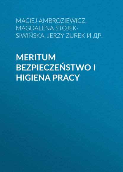 Jerzy Zurek - MERITUM Bezpieczeństwo i higiena pracy