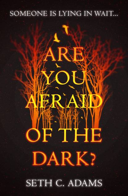 Seth Adams C. - Are You Afraid of the Dark?