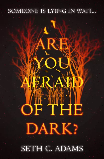 Обложка книги Are You Afraid of the Dark?, Seth Adams C.