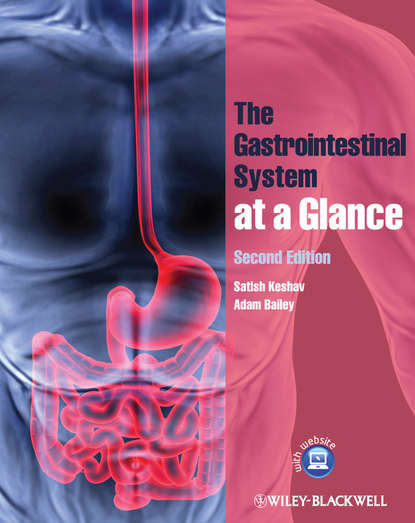 The Gastrointestinal System at a Glance - Adam Bailey Leitman