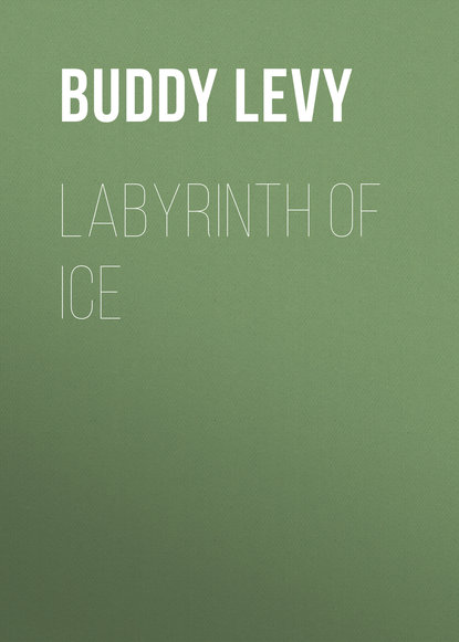 

Labyrinth of Ice