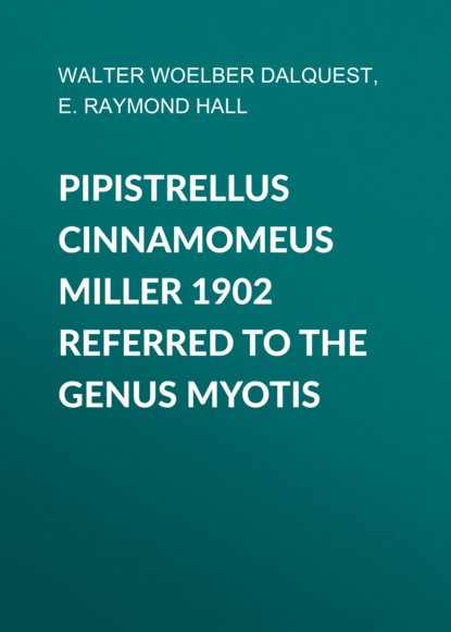 E. Raymond Hall - Pipistrellus cinnamomeus Miller 1902 Referred to the Genus Myotis