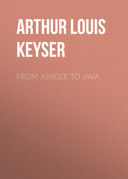 Arthur Louis Keyser - From Jungle to Java