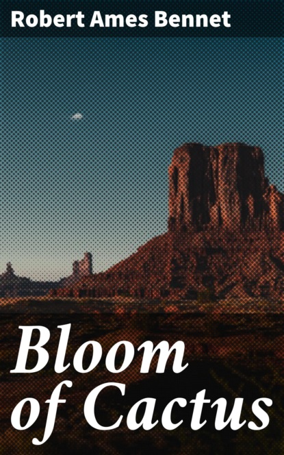 

Bloom of Cactus