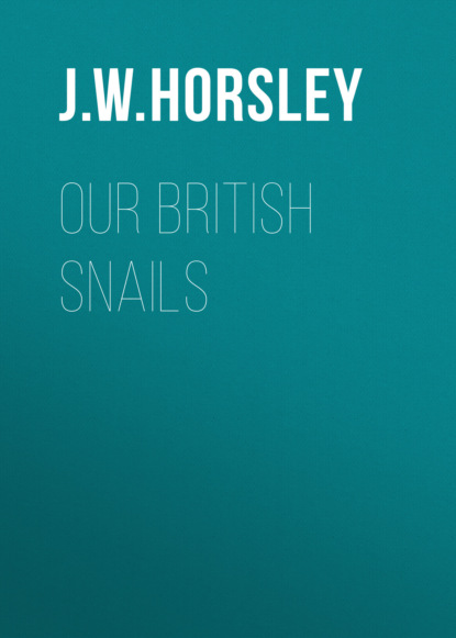 

Our British Snails