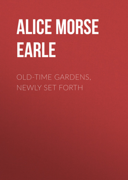 Alice Morse Earle - Old-Time Gardens, Newly Set Forth