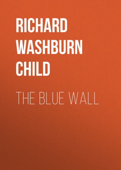 

The Blue Wall