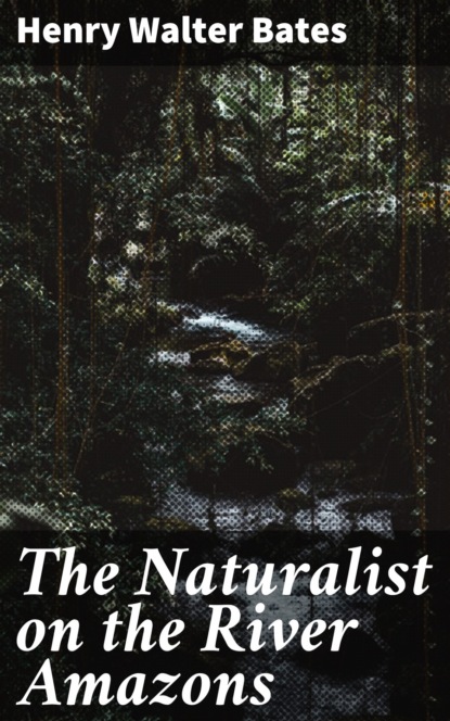 

The Naturalist on the River Amazons