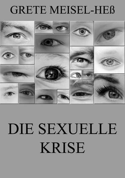 Grete Meisel-Heß - Die sexuelle Krise