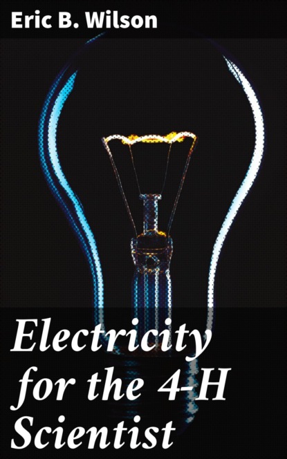 

Electricity for the 4-H Scientist