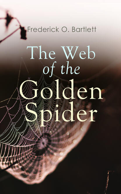 

The Web of the Golden Spider