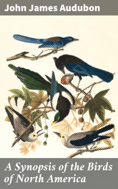 

A Synopsis of the Birds of North America