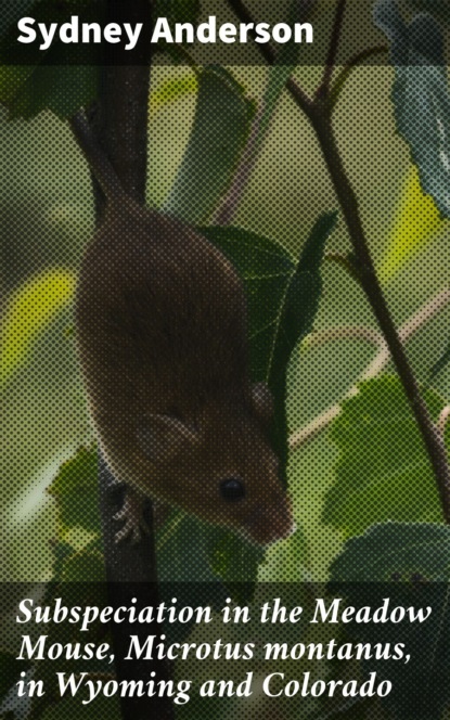 

Subspeciation in the Meadow Mouse, Microtus montanus, in Wyoming and Colorado