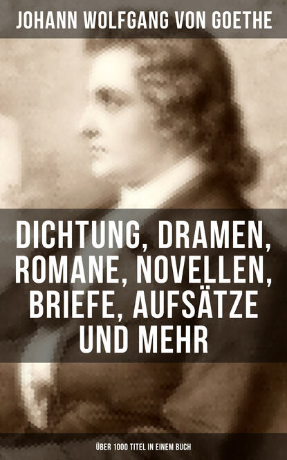 Johann Wolfgang von Goethe - Die wichtigsten Werke von Goethe