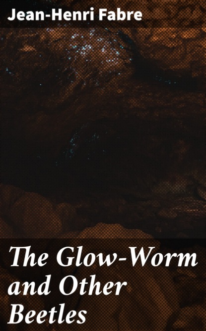 Fabre Jean-Henri - The Glow-Worm and Other Beetles