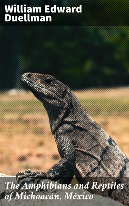 

The Amphibians and Reptiles of Michoacán, México