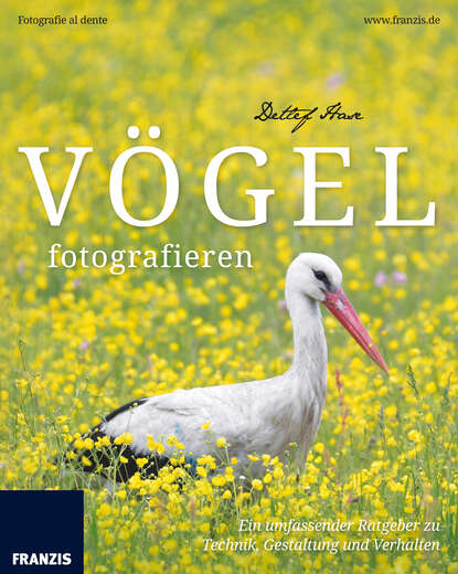 Vögel fotografieren