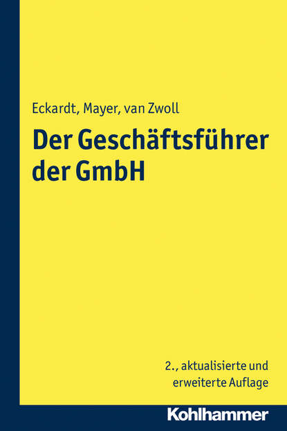 Volker Mayer - Der Geschäftsführer der GmbH