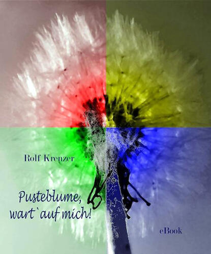 Pusteblume wart auf mich