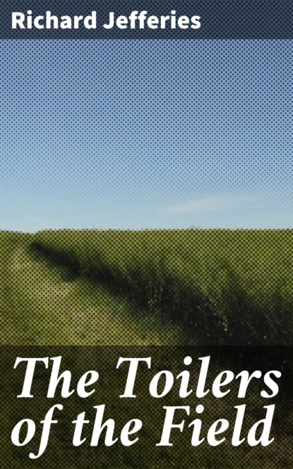 

The Toilers of the Field