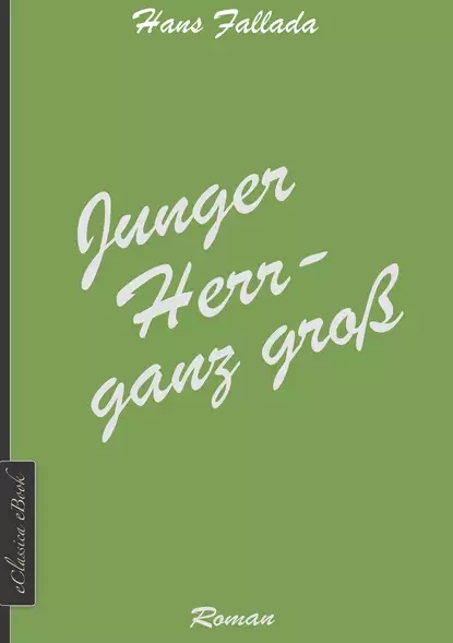 Обложка книги Junger Herr - ganz groß, Ханс Фаллада