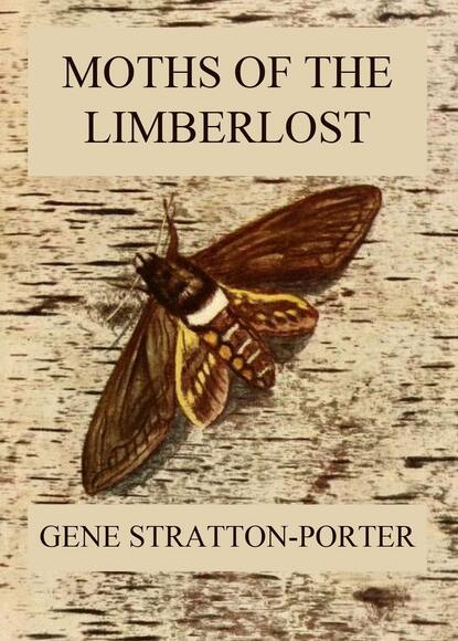 Stratton-Porter Gene - Moths of the Limberlost