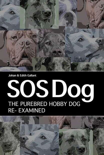 Johan Gallant - SOS Dog