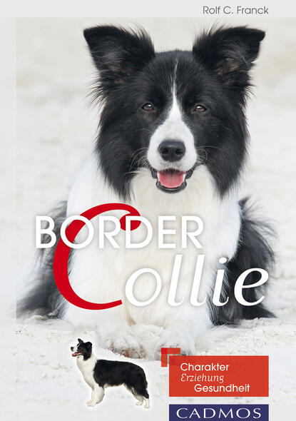 Border Collie (Rolf C.  Franck). 