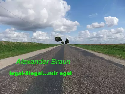 Обложка книги Legal - illegal... Mir egal, Alexander  Braun