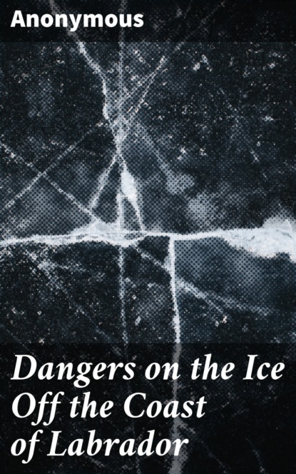 Anonymous - Dangers on the Ice Off the Coast of Labrador