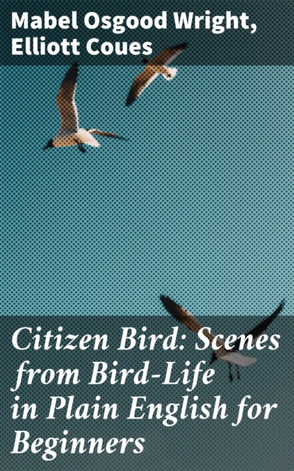 Elliott Coues - Citizen Bird: Scenes from Bird-Life in Plain English for Beginners