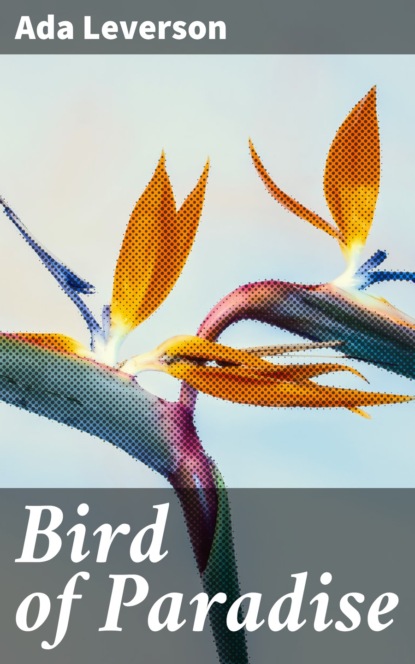 

Bird of Paradise