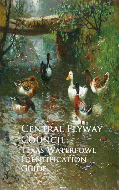 Central Flyway Council — Texas Waterfowl Identification Guide